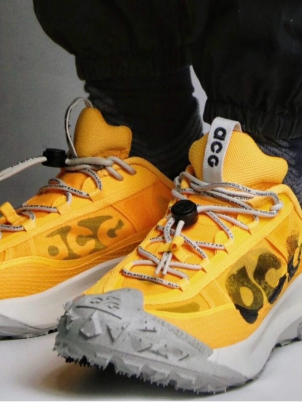 Nike ACG mountain fly 2 low new no box M 8 W 9.5